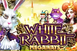 White Rabbit